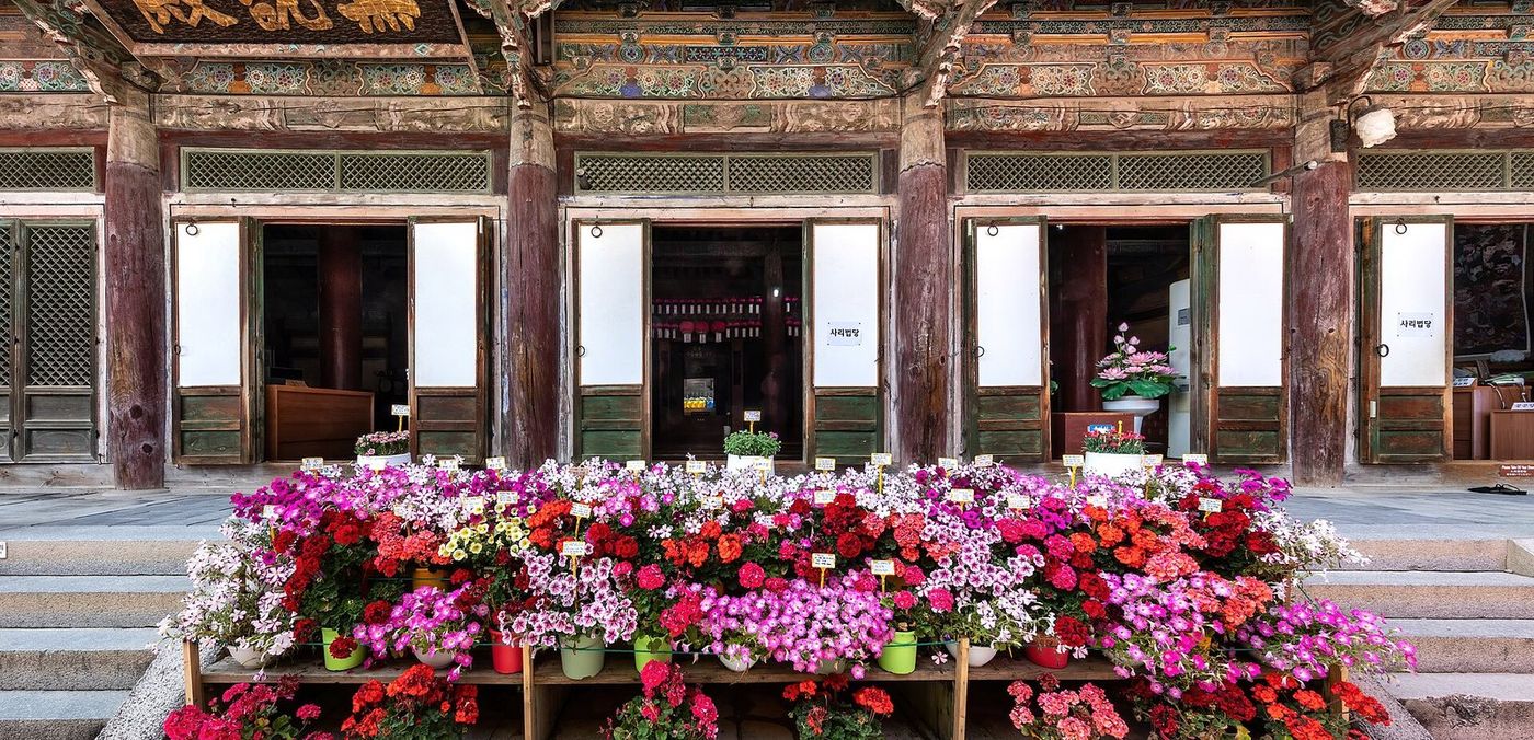 Bulguksa temple hall with flower pots, Gyeongju, Gyeongbuk