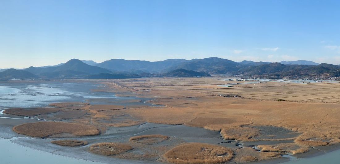 Tidal flats and reed beds of Suncheon Bay, Jeonnam